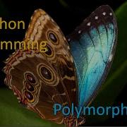 Polymorphism In Python Programming OOP In Python