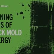 Symptoms Of Black Mold