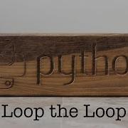 Nested Loops Python
