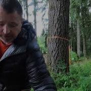 Measuring The Board Foot Volume Of A Tree