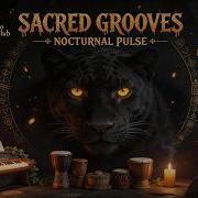 Nocturnal Pulse Sacred Grooves 4 Hour Tribal Ritual