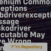 Selenium Common Exceptions WebDriverException Message Geckodriver Executable May Have Wrong Permissi