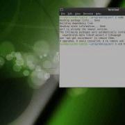 Intro To Perl Part 1 About Perl And Hello World Pastelinux