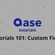 11 Custom Fields