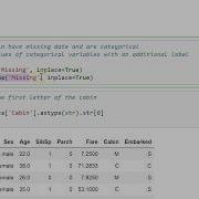 Categorical Variable Encoding