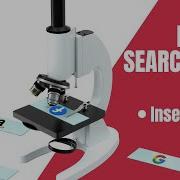 How To Insert Node In Binary Search Tree JavaScript