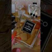 Статусный изысканный аромат Коко Шанель Coco Chanel Eau De Parfum гарбанза парфюмерия Shorts