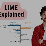 Введение в LIME для локальных интерпретаций Интуиция и алгоритм