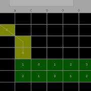 DPA For Sequence Alignment Using Hirschberg S Technique