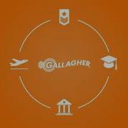 Gallagher Cyber Security