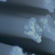 Household Items Under The Microscope My Little Planet