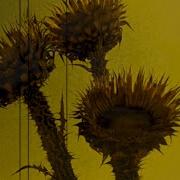 Weevil Insomnia Official Video