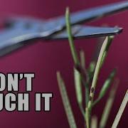 Exploding Weed Seeds 28 546 Fps Slow Motion Smarter Every Day 257