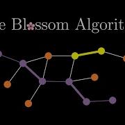 The Blossom Algorithm