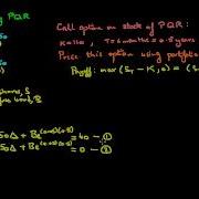 One Period Binomial Option Pricing Portfolio Replication Approach