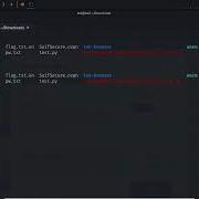 Cracking The Code PicoCTF General Skills Python Wrangling Walkthrough Beginner Friendly