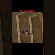 Falcon Never Misses Until It Meets The Eagle King Trending Animals Wildlife Eagle Falcon