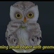 CR Scan Otter How To Scan Small Objects With Geometry Mode