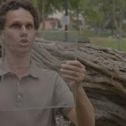 Online Exclusive Blind Man Uses Bat Like Vision World S Weirdest Events BBC