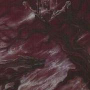 Veil Mater Maternis