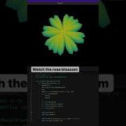 Rose Blossom Animation Using Python