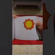 The Popsicle Flip Book Shorts
