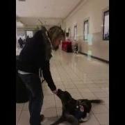 Wesley Perfoming A Public Access Test