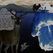 The Appalachian Oddities Iceberg Explained