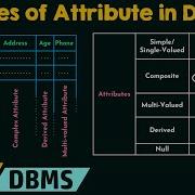Types Of Attribute In DBMS