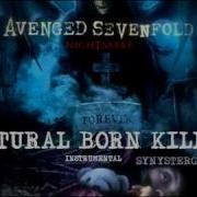 Avenged Sevenfold Natural Born Killer Official Instrumental