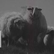 Deep And Dub Techno Mix FAIDEL Muzaikfm 007