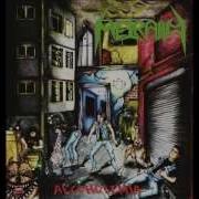 METRALLO Thrash Till Death