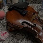 Anastasy Violin Skyfall Adele Violin Cover