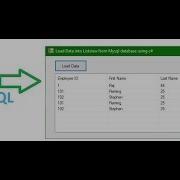 Load Data Into Listview From Mysql Database Using C