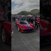 Daytona SP3 Or F80 Ferrari Daytona Japan Shorts