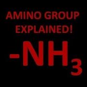 Amino Functional Group Explained