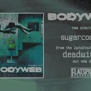Bodyweb Sugarcoated