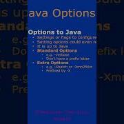 Java Options System Properties