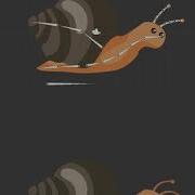 Snail 2D Rig Animation Unity 2D