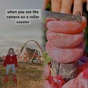 When You See The Camera On A Roller Coaster Shorts Relatable