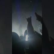 Sleep Token Chokehold Live