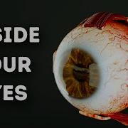 What Happens Inside Your Eyes 3D Animation