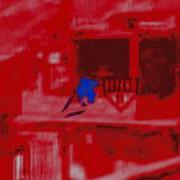 Predator Effect Test
