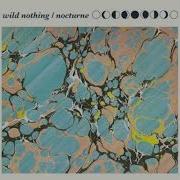 Wild Nothing Shadow