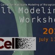 Introduction To MCell4 Monte Carlo Simulator Of Reaction Diffusion Cell Modeling Workshop 2022