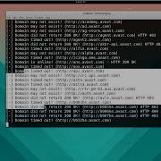 Qping Live Subomains Checker Python Bugbounty Hackers