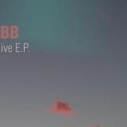 Ebb Time