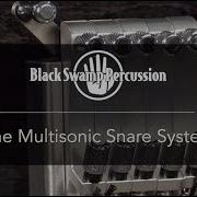 BSP Multisonic Strainer Demo