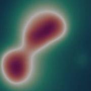 Blobs1