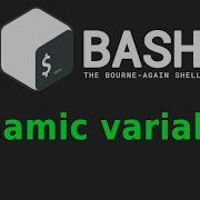 Creating Dynamic Variables In Bash